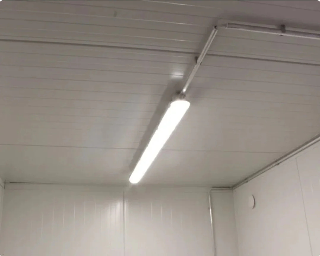 conteneur réfrigéré de 10 pieds conteneur réfrigéré de 10 pieds